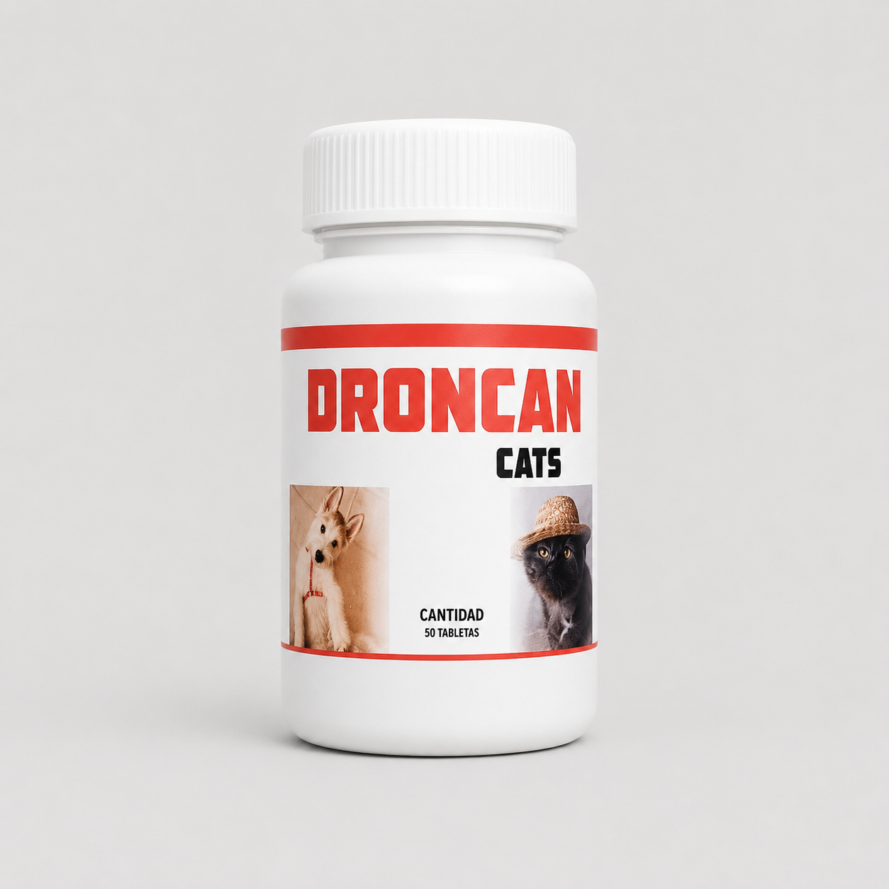 Drocan Cats